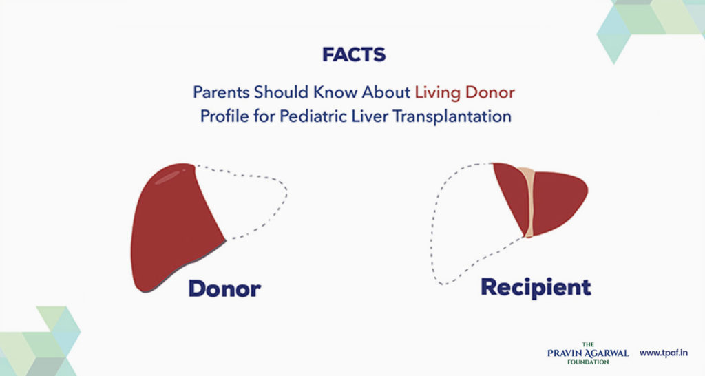 Facts Parents Should Know About Living Donor Profile For Paediatric